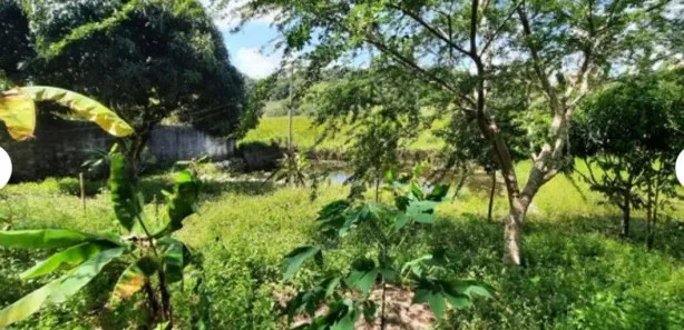 Fazenda / Sítio / Chácara com 2 Quartos à venda, 340m² no , Conde