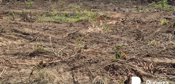 Fazenda / Sítio / Chácara à venda, 474m² no , Rio Sono