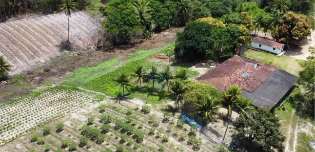 Fazenda / Sítio / Chácara à venda, 160000m² no Jardim Recreio, Conde