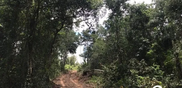 Fazenda / Sítio / Chácara à venda no , Guaraí
