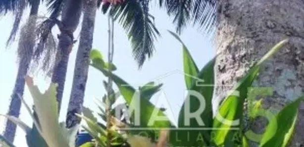 Fazenda / Sítio / Chácara com 3 Quartos à venda, 160m² no Chácaras Copaco, Arujá