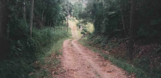 Terreno / Lote / Condomínio com 1 Quarto à venda, 10000m² no Alto Ipiranga, Mogi das Cruzes