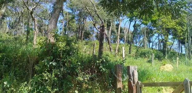 Fazenda / Sítio / Chácara à venda, 53250m² no Estacao de Moreiras, Mairinque
