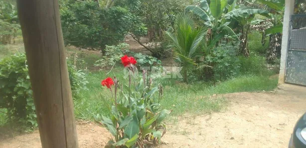 Fazenda / Sítio / Chácara à venda, 24988m² no Lagoa Verde, Tanguá
