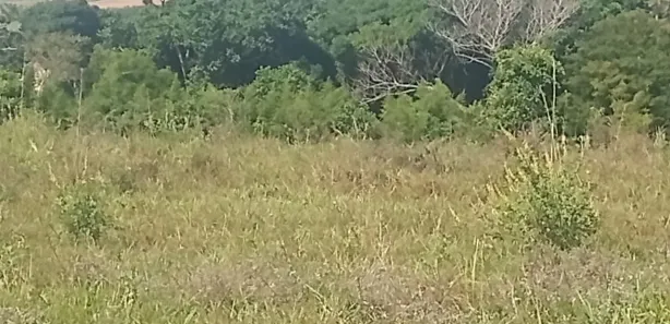 Fazenda / Sítio / Chácara à venda, 10m² no Centro, Águas de São Pedro