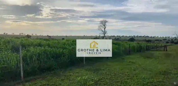 Fazenda / Sítio / Chácara com 5 Quartos à venda, 800m² no Padre Bernardo, Padre Bernardo