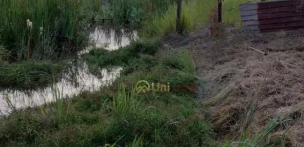 Fazenda / Sítio / Chácara com 2 Quartos à venda, 300m² no Vilarejo Varejão, Taubaté