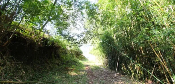 Fazenda / Sítio / Chácara à venda, 15000m² no Pé de Plátano, Santa Maria