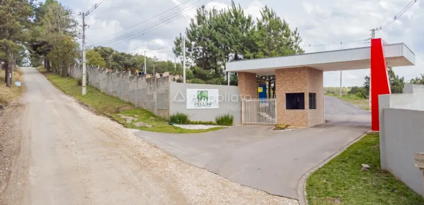Terreno / Lote / Condomínio à venda, 280m² no Caraguata, Campina Grande do Sul