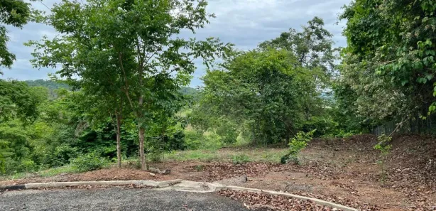 Fazenda / Sítio / Chácara à venda, 2879m² no , Nerópolis