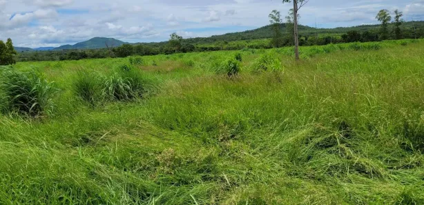 Terreno / Lote / Condomínio à venda, 480m² no Setor Central, Paranã