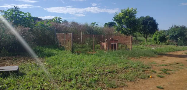 Fazenda / Sítio / Chácara com 3 Quartos à venda, 5000m² no , Padre Bernardo