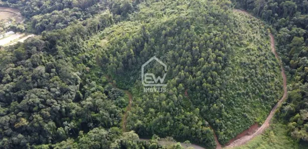 Fazenda / Sítio / Chácara com 1 Quarto à venda, 117526m² no , Massaranduba