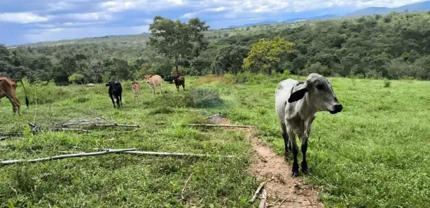 com 3 Quartos à venda, 3133000m² no Vale  Das  Macieiras, Padre Bernardo