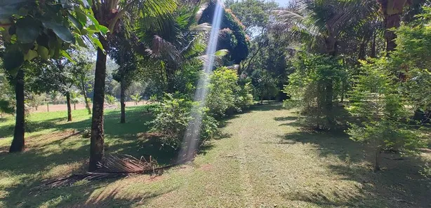 Fazenda / Sítio / Chácara com 2 Quartos à venda, 22000m² no Nossa Senhora do Amparo, Barra Mansa