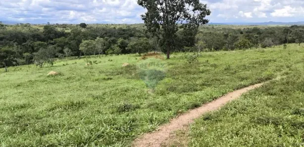 com 3 Quartos à venda, 3133000m² no Vale  Das  Macieiras, Padre Bernardo