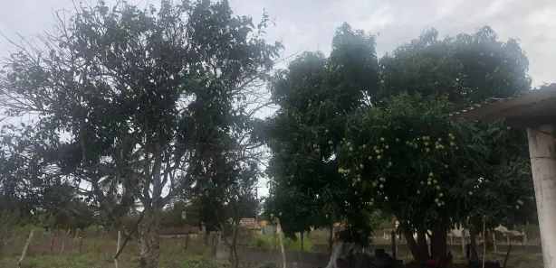 Fazenda / Sítio / Chácara com 3 Quartos à venda, 5500m² no , Vera Cruz