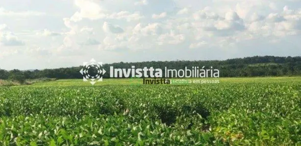 Fazenda / Sítio / Chácara à venda, 683m² no Centro, Divinópolis do Tocantins