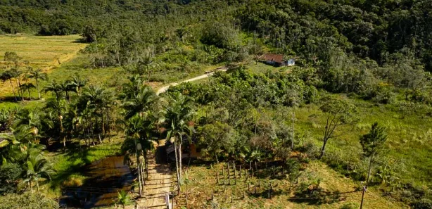 Fazenda / Sítio / Chácara com 3 Quartos à venda, 140m² no Sai, São Francisco do Sul
