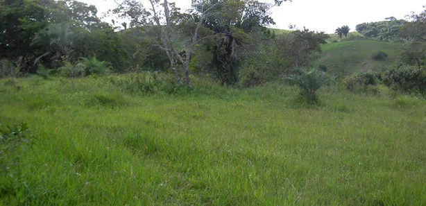 Terreno / Lote / Condomínio à venda, 291666m² no , Simões Filho