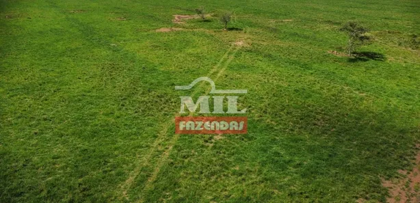 Fazenda / Sítio / Chácara à venda, 27646080m² no , Pium