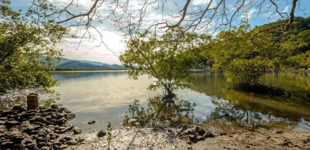 Terreno / Lote / Condomínio à venda, 40435m² no Balneario Praia do Perequê, Guarujá