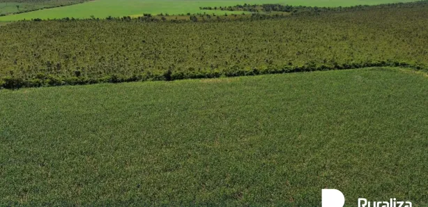Fazenda / Sítio / Chácara à venda, 755m² no , Pedro Afonso