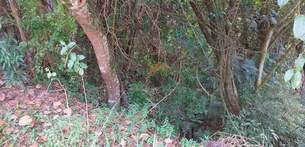 Terreno / Lote / Condomínio à venda, 300m² no Parque Nova Jandira, Jandira