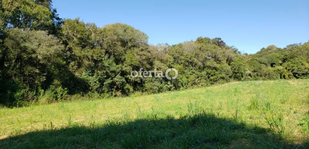 Fazenda / Sítio / Chácara à venda, 22385m² no Porto das Laranjeiras, Araucária