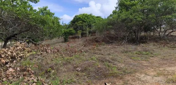 Terreno / Lote / Condomínio à venda, 1000m² no Itacimirim (Monte Gordo), Camaçari
