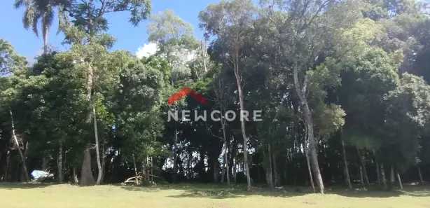 Fazenda / Sítio / Chácara com 2 Quartos à venda, 120m² no Campestre da Faxina, São José dos Pinhais