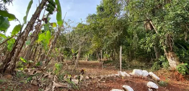 Fazenda / Sítio / Chácara à venda, 2499m² no Condomínio Horizontal Marajoara, Ibiporã