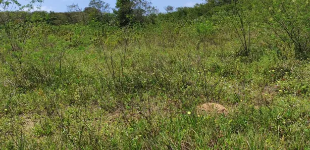 Fazenda / Sítio / Chácara com 3 Quartos à venda, 112000m² no , Vera Cruz