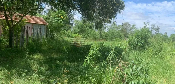 Fazenda / Sítio / Chácara com 1 Quarto à venda, 24200m² no Vila Menino Jesus, Caçapava