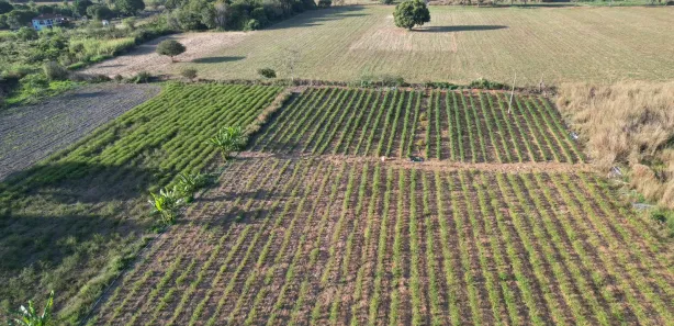 Fazenda / Sítio / Chácara com 1 Quarto à venda, 160000m² no Arapoanga, Brasília