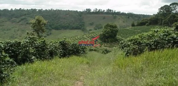 Fazenda / Sítio / Chácara com 1 Quarto à venda, 93600m² no Área Rural de Viçosa, Viçosa