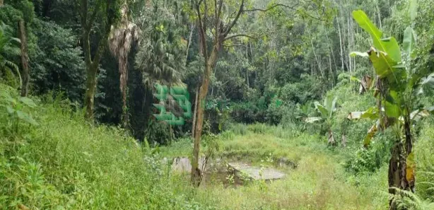 Fazenda / Sítio / Chácara com 1 Quarto à venda, 200m² no , Mongaguá