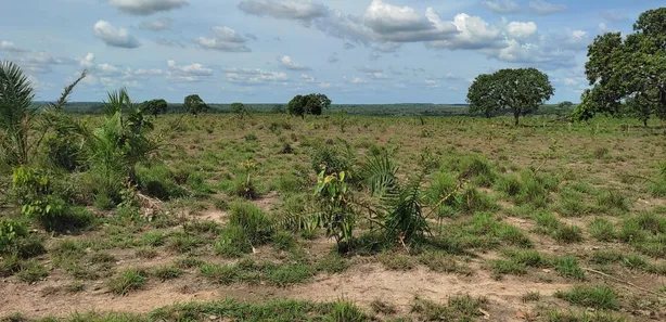 Fazenda / Sítio / Chácara à venda, 320m² no , Pedro Afonso