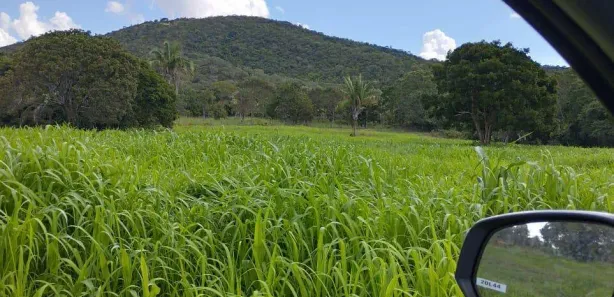 Terreno / Lote / Condomínio à venda, 253m² no Setor Aeroporto, Gurupi