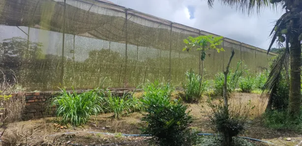 Fazenda / Sítio / Chácara com 3 Quartos à venda, 80000m² no Alpes Suiços, Gravatá