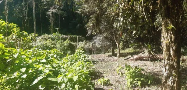 Terreno / Lote / Condomínio à venda, 2139m² no Chácara São Geraldo, Embu-Guaçu