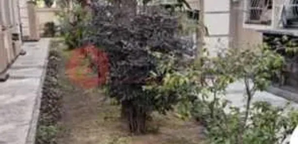 Apartamento com 2 Quartos à venda, 50m² no Vigário Geral, Rio de Janeiro