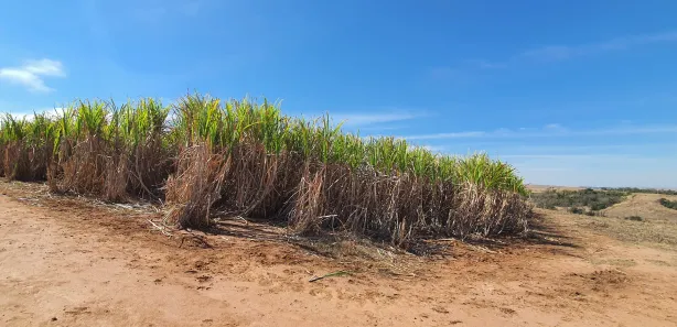 Fazenda / Sítio / Chácara à venda, 72600m² no Área Rural de Águas de São Pedro, Águas de São Pedro