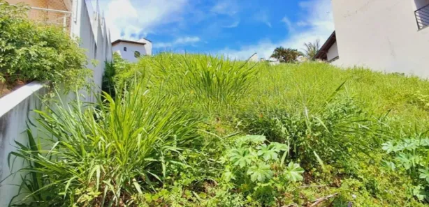 Terreno / Lote / Condomínio à venda, 500m² no Chácaras Alpina, Valinhos