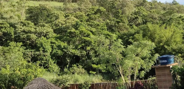 Fazenda / Sítio / Chácara com 4 Quartos à venda, 30000m² no Campo Alegre, Nova Iguaçu