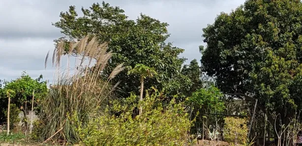 Fazenda / Sítio / Chácara com 5 Quartos à venda, 3000m² no Carafá, Votorantim