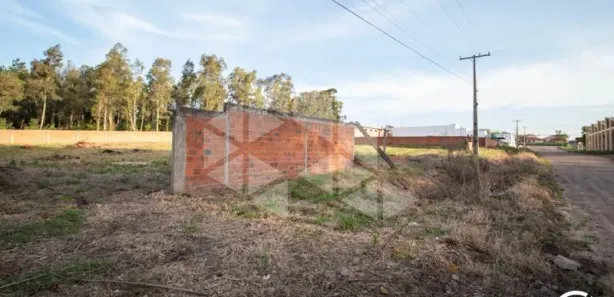 Terreno / Lote / Condomínio para alugar, 3002m² no Pé de Plátano, Santa Maria