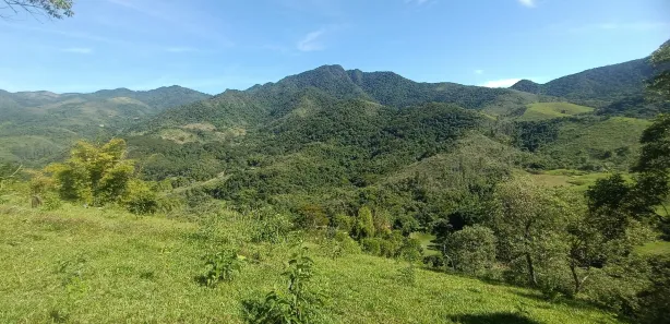 Fazenda / Sítio / Chácara com 3 Quartos à venda, 25000m² no , Rio Bonito