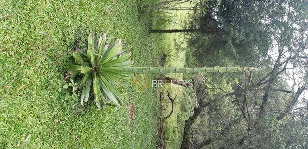Fazenda / Sítio / Chácara à venda, 43700m² no Estação, Araucária