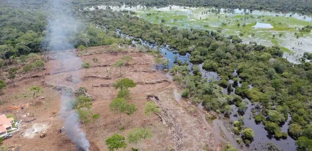 Fazenda / Sítio / Chácara à venda, 213m² no , Lagoa da Confusão